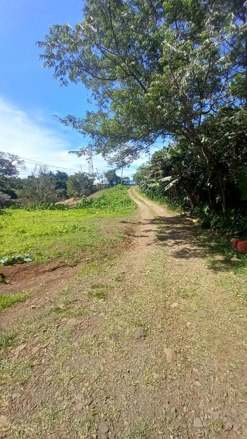 Finca Pantera 호텔 Monteverde 외부 사진