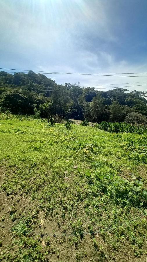 Finca Pantera 호텔 Monteverde 외부 사진